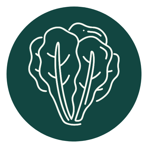 Edible (Leafy Vegetable)
